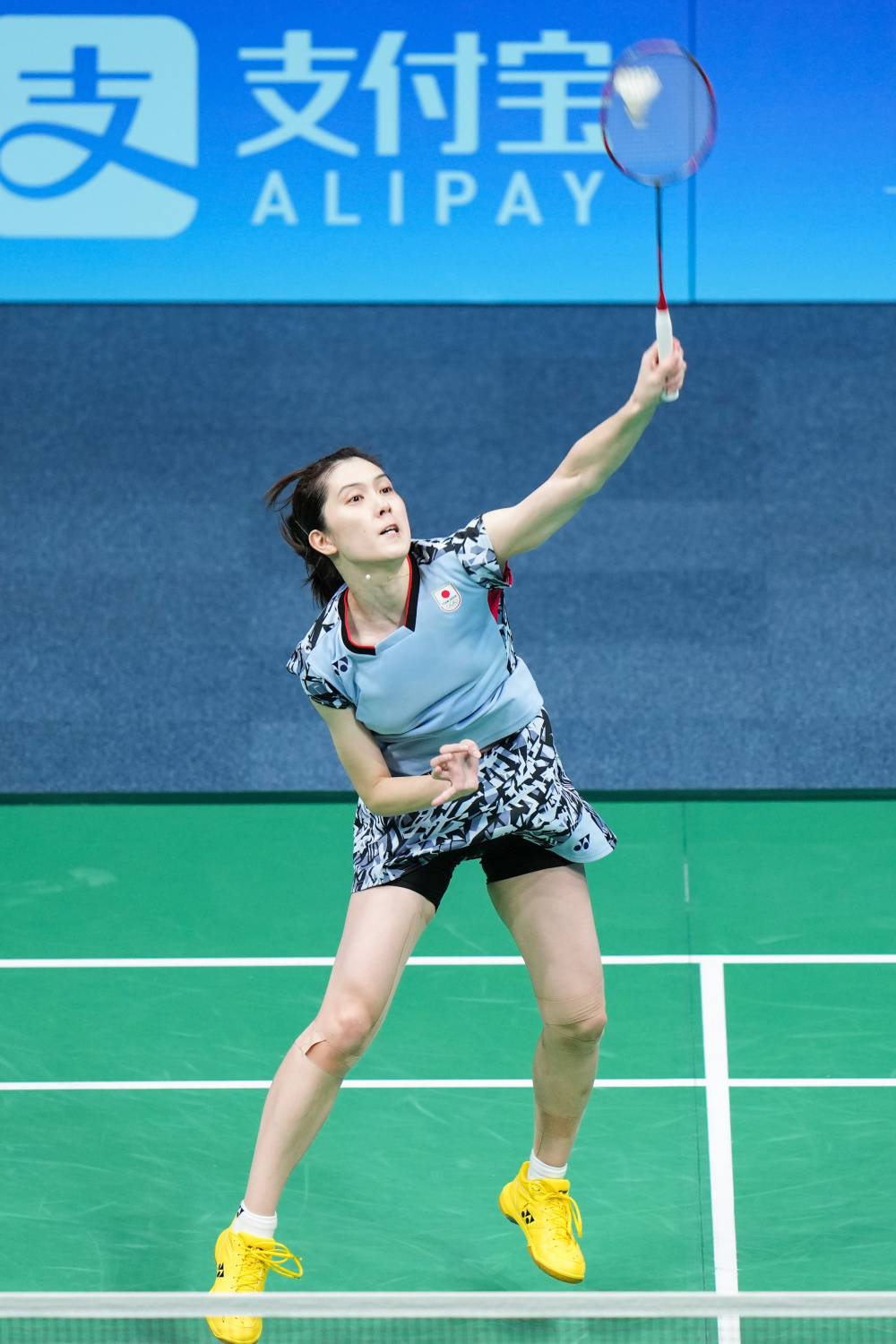 大相徑庭 大相徑庭