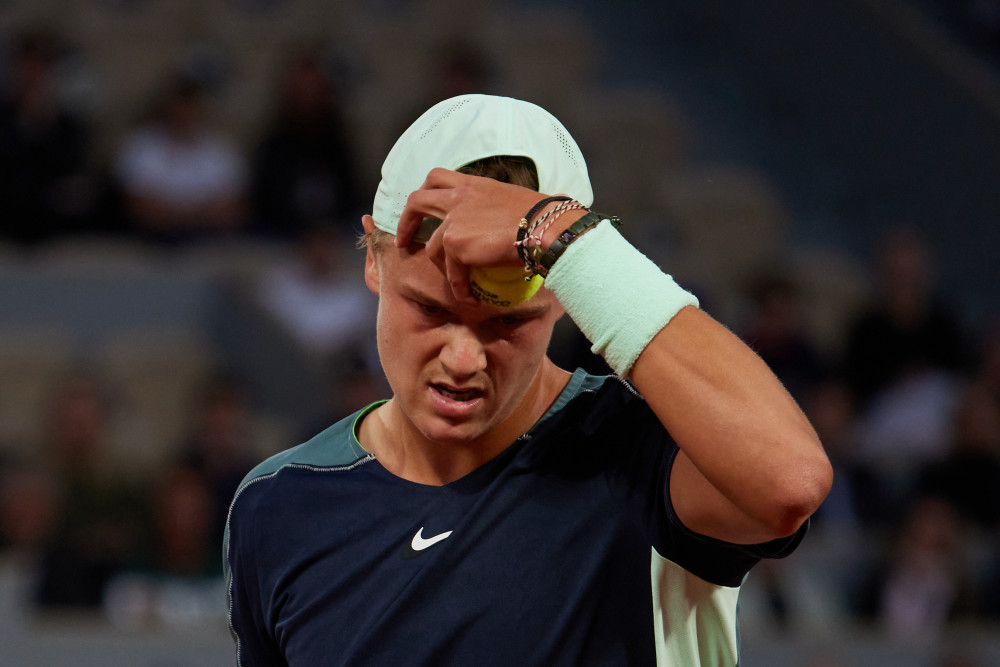 一个鲜明的 一个鲜明的