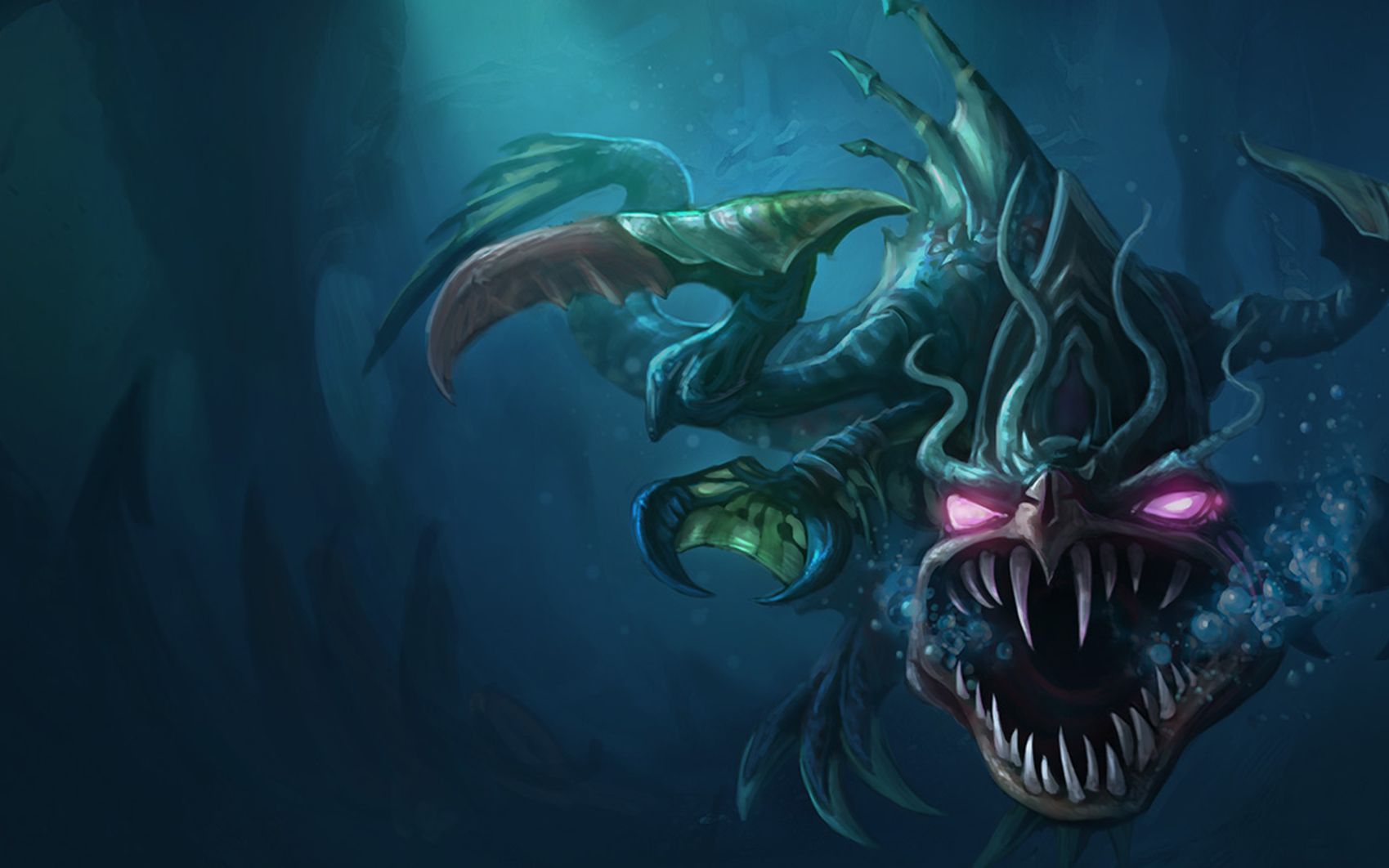 参赛选手的 参赛选手的