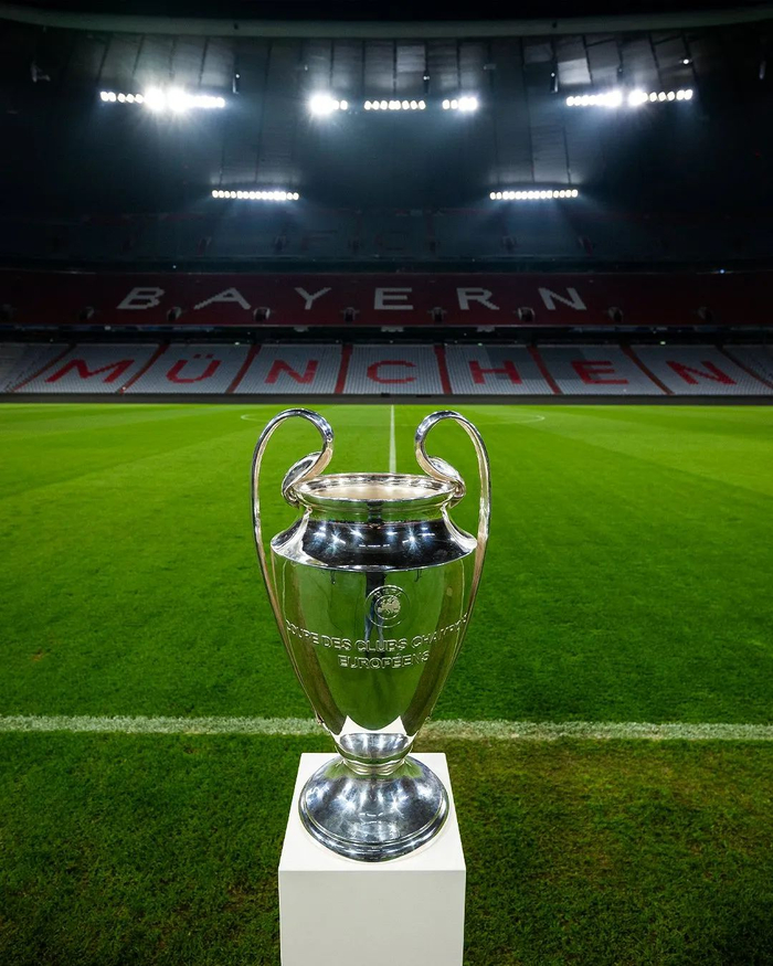 选队结果定 选队结果定